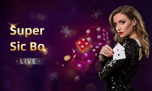 bj casino